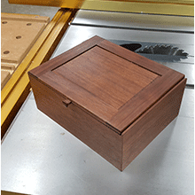Box 2 - (a)