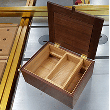 Box 2 - (a)