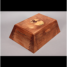 Box 2 - (a)