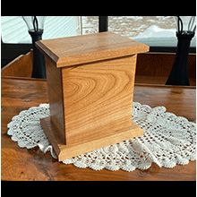 Box 2 - (b)