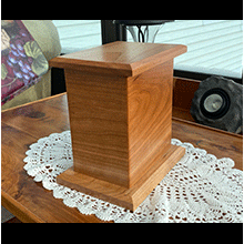 Box 2 - (b)