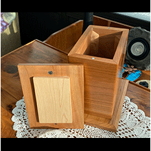 Box 2 - (b)