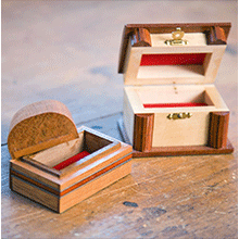 Box 2 - (a)