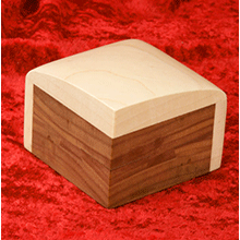 Box 2 - (a)